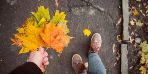 Eine Person hält links einen Büschel bunter Ahornblätter in der Hand. Das Bild ist aus der Vogelperspektive fotografiert, der linke Arm leicht nach vorn geneigt. Parallel dazu sind zwei Beine auf Asphalt. 