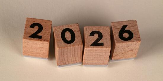 Vier Holzwürfel, jeweils eine 2, 0, 2 und 6